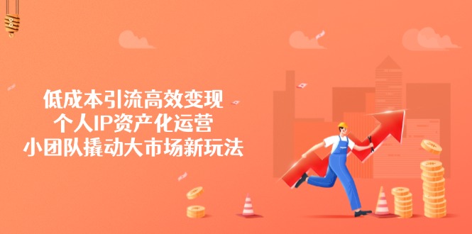 低成本引流高效变现，个人IP资产化运营，小团队撬动大市场新玩法-老吴出海笔记