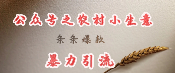 deepseek写农村小项目,条条爆款,暴力引流-老吴出海笔记