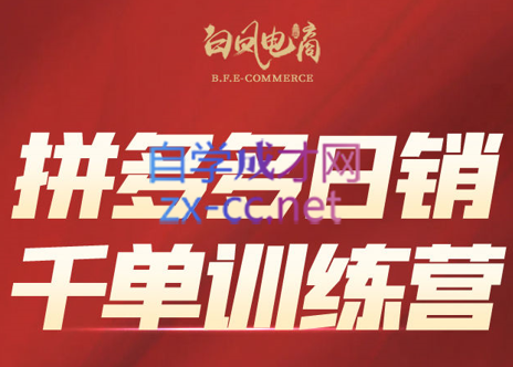 白凤电商·拼多多日销千单训练营(更新3月)-老吴出海笔记