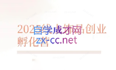 舒老师·珠宝创业实战指南-老吴出海笔记