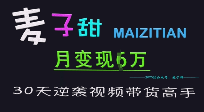 麦子甜30天逆袭视频带货高手，单月变现6W加特训营-老吴出海笔记