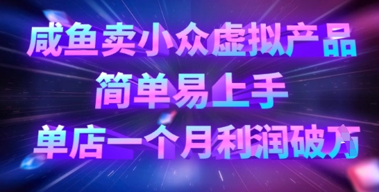 咸鱼卖小众虚拟产品，简单易上手，单店一个月利润破W-老吴出海笔记