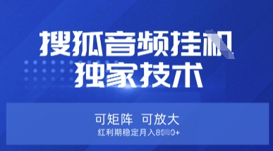 【搜狐音频挂G】独家技术，可矩阵可放大，红利期稳定月入8k【揭秘】-老吴出海笔记