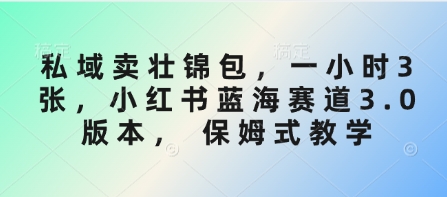 私域卖壮锦包,一小时3张,小红书蓝海赛道3.0版本, 保姆式教学-老吴出海笔记