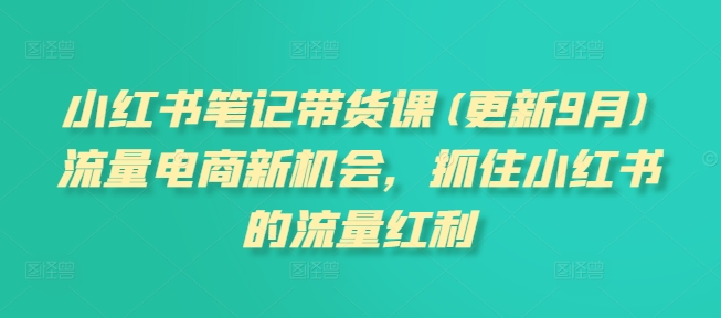 小红书笔记带货课(更新25年3月)流量电商新机会,抓住小红书的流量红利-老吴出海笔记