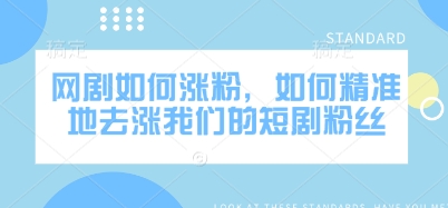 网剧如何涨粉，如何精准地去涨我们的短剧粉丝-老吴出海笔记