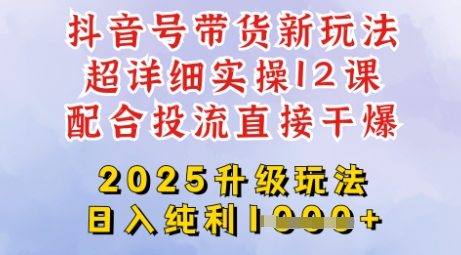 2025全新升级抖音带货玩法,一天纯利四位数,从剪辑到选品再到发布投流,超详细玩法揭秘-老吴出海笔记