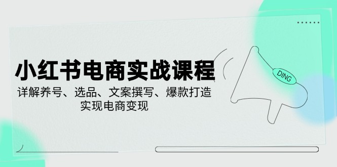 小红书电商实战课程，详解养号、选品、文案撰写、爆款打造，实现电商变现-老吴出海笔记
