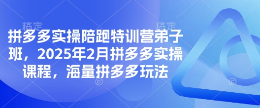 拼多多实操陪跑特训营弟子班，2025年2月拼多多实操课程，海量拼多多玩法-老吴出海笔记