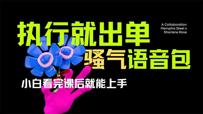 爆火全网的开车导航骚气语音包,只要执行就出单,小白看完课程就能实操...-老吴出海笔记