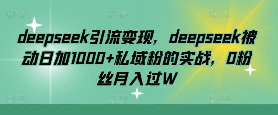deepseek引流变现，deepseek被动日加1000+私域粉的实战，0粉丝月入过W-老吴出海笔记