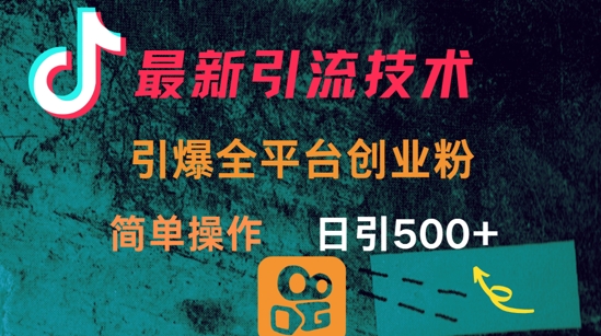 最新引流方法，引爆全平台的一个创业粉，简单操作日引300+-老吴出海笔记