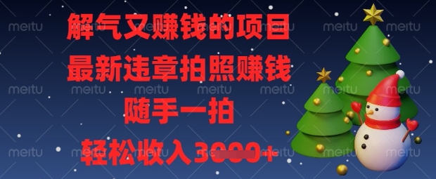 解气又挣钱的项目,最新违章拍照挣钱,随手一拍,轻松收入数张【揭秘】-老吴出海笔记