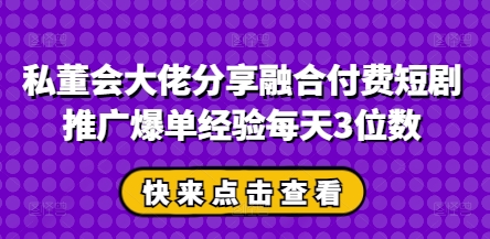 私董会大佬分享融合付费短剧推广爆单经验每天3位数-老吴出海笔记