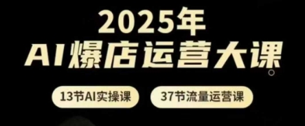 2025年AI爆店运营大课,13节AI实操课+37节流量运营课-老吴出海笔记
