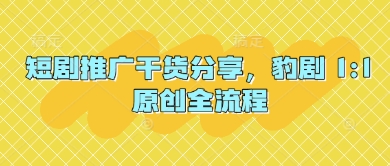 短剧推广干货分享，豹剧 1:1原创全流程-老吴出海笔记