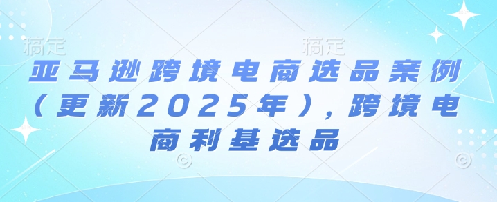 亚马逊跨境电商选品案例(更新2025年4月),跨境电商利基选品-老吴出海笔记