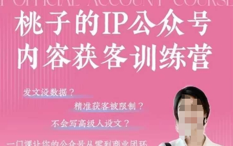 桃子IP公众号内容获客训练营(第3期),一门让你公众号从0到商业闭环的课程-老吴出海笔记