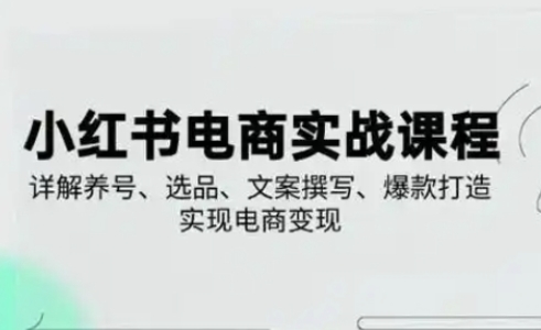 小红书从0-1实操课(2023-2025),详解养号、选品、文案撰写、爆款打造实现电商变现-老吴出海笔记