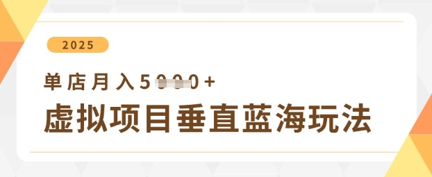 虚拟项目垂直玩法,实现单店月入5k+-老吴出海笔记