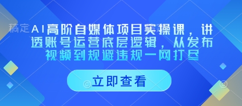 AI高阶自媒体项目实操课,讲透账号运营底层逻辑,从发布视频到规避违规一网打尽-老吴出海笔记