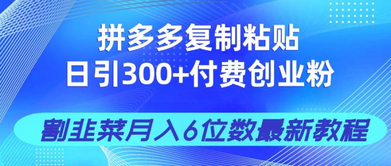 拼多多复制粘贴日引300+付费创业粉,割韭菜月入6位数最新教程!-老吴出海笔记