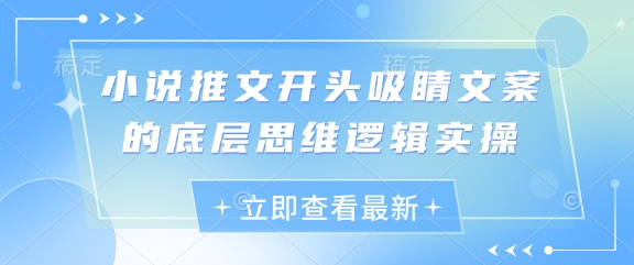 小说推文开头吸睛文案的底层思维逻辑实操-老吴出海笔记