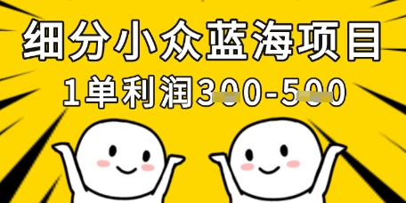 细分小众蓝海项目,一单利润3张,每月收入稳定过1w+-老吴出海笔记
