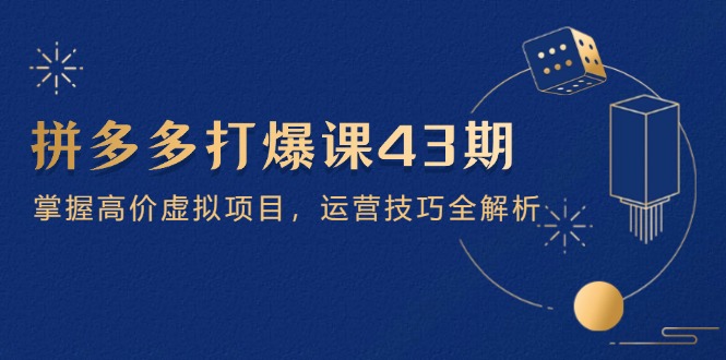拼多多打爆课第 43 期，掌握高价虚拟项目，运营技巧全解析(15节-老吴出海笔记