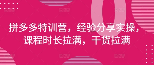 拼多多特训营,经验分享实操,课程时长拉满,干货拉满(更新25年4月)-老吴出海笔记