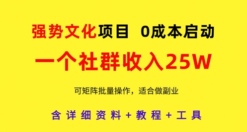 强势文化项目,一个社群收入25个W,0成本启动,可矩阵批量操作,原创详细实操教程-老吴出海笔记