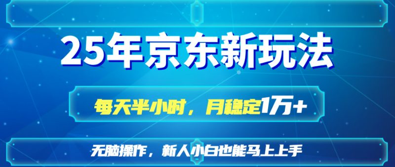 25京东新玩法,每天半小时,月稳定1W+-老吴出海笔记