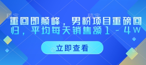 重回即颠峰，男粉项目重磅回归，平均每天销售额1-4W-老吴出海笔记