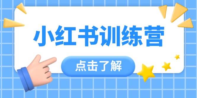 小红书训练营，助小白入门，掌握技巧变达人，课程实操又全面(12节课)-老吴出海笔记