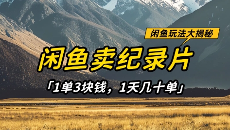 闲鱼卖纪录片1单3块钱，1天几十单，项目稳定有潜力-老吴出海笔记
