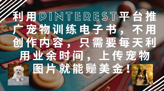 利用Pinterest平台推广宠物训练电子书,不用创作内容,只需要每天利用业余时间,上传宠物图片就能挣美金!-老吴出海笔记