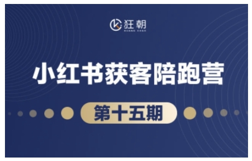 抖音小红书视频号短视频带货与直播变现(11-16期),打造爆款内容，实现高效变现(更新)-老吴出海笔记