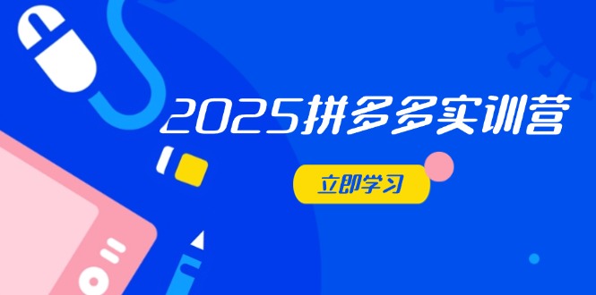 2025拼多多实训营：深度剖析运营关键，助力电商人快速提升-老吴出海笔记