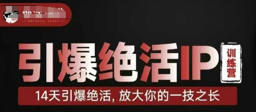 引爆绝活IP训练营，14天引爆绝活，放大你的一技之长-老吴出海笔记