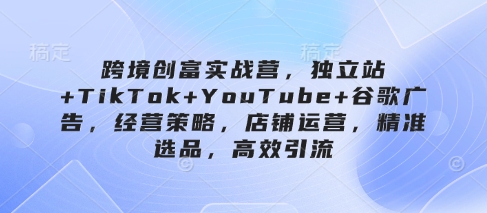 跨境创富实战营,独立站+TikTok+YouTube+谷歌广告,经营策略,店铺运营,精准选品,高效引流-老吴出海笔记