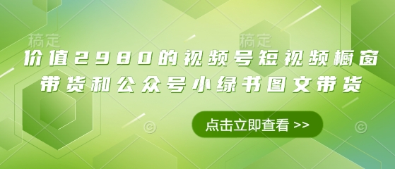 价值2980的视频号短视频橱窗带货和公众号小绿书图文带货-老吴出海笔记