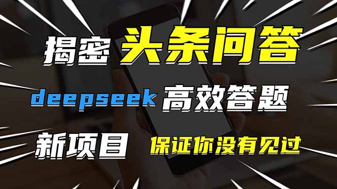 头条问答,刚出的新玩法!保证你没见过!用DeepSeek去高效答题,一个账...-老吴出海笔记