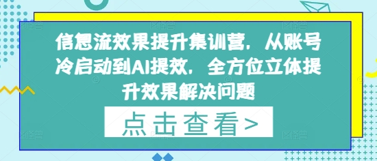 信息流效果提升集训营，从账号冷启动到AI提效，全方位立体提升效果解决问题-老吴出海笔记