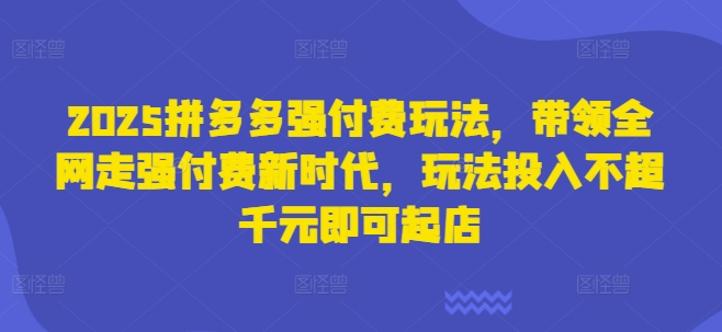 2025拼多多强付费玩法，带领全网走强付费新时代，玩法投入不超千元即可起店-老吴出海笔记
