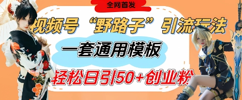 视频号“野路子”玩法,评论区疯狂截流,一套模板单日单号引流50+创业粉-老吴出海笔记