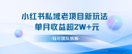 小红书私域项目新玩法,单月变现过W+-老吴出海笔记