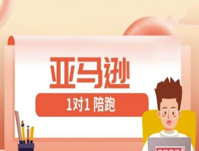 亚马逊1对1陪跑课(FBA/FBM精铺)跨境亚马逊教程-老吴出海笔记