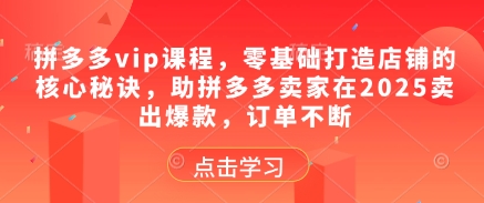 拼多多vip课程,零基础打造店铺的核心秘诀,助拼多多卖家在2025卖出爆款,订单不断-老吴出海笔记
