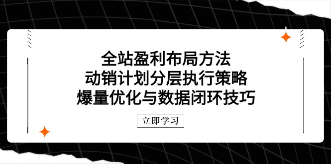 全站盈利布局方法:动销计划分层执行策略,爆量优化与数据闭环技巧-老吴出海笔记