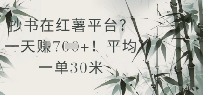 抄书在小红薯平台?平均一单30米,一天收益几张!-老吴出海笔记